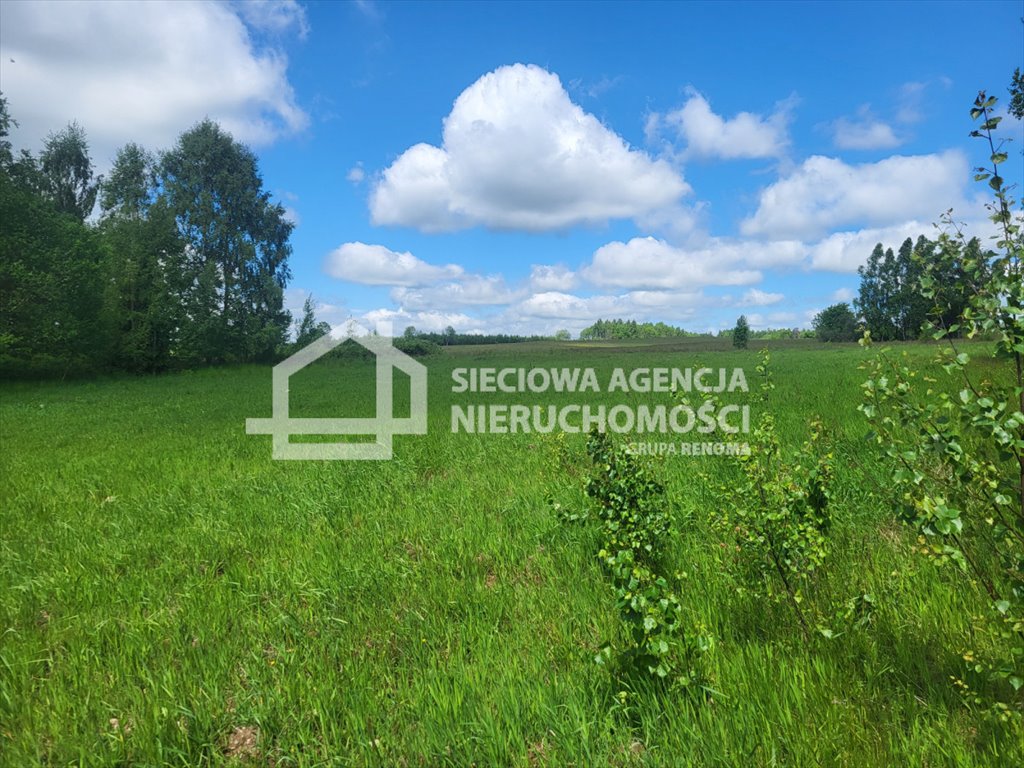 Sprzedam działkę 7,8 ha z zabytkowymi budynkami i stawami Miłowo  78 314m2 Foto 1