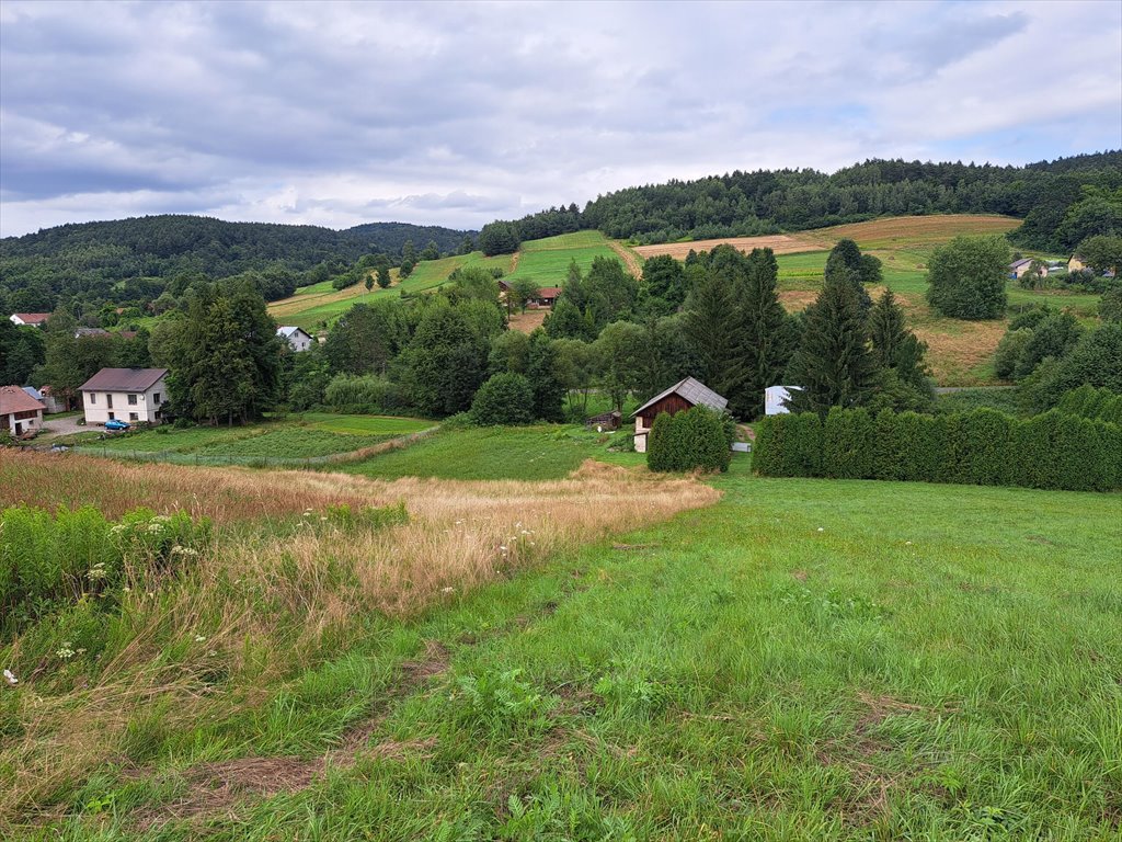 Działka rolna na sprzedaż Pietrusza Wola  5 200m2 Foto 4