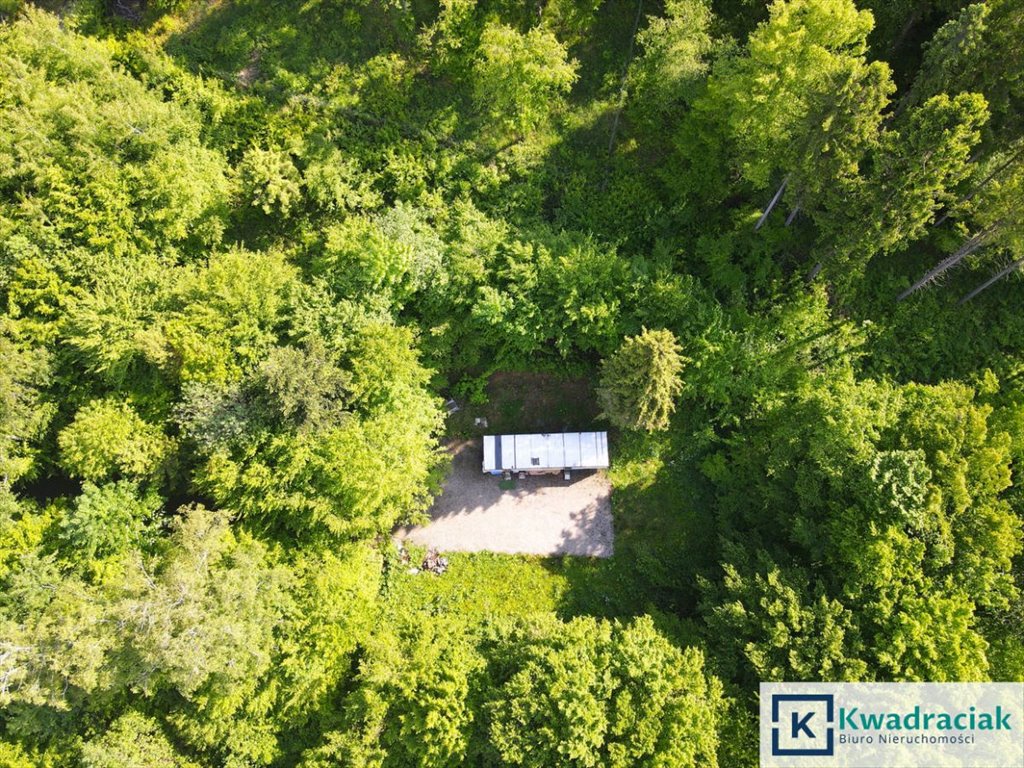 Działka rolna na sprzedaż Płowce  8 242m2 Foto 1