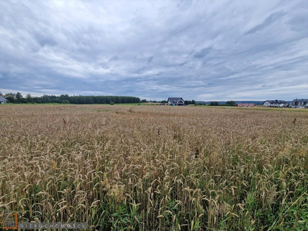 Działka budowlana na sprzedaż Piekary  20 395m2 Foto 4