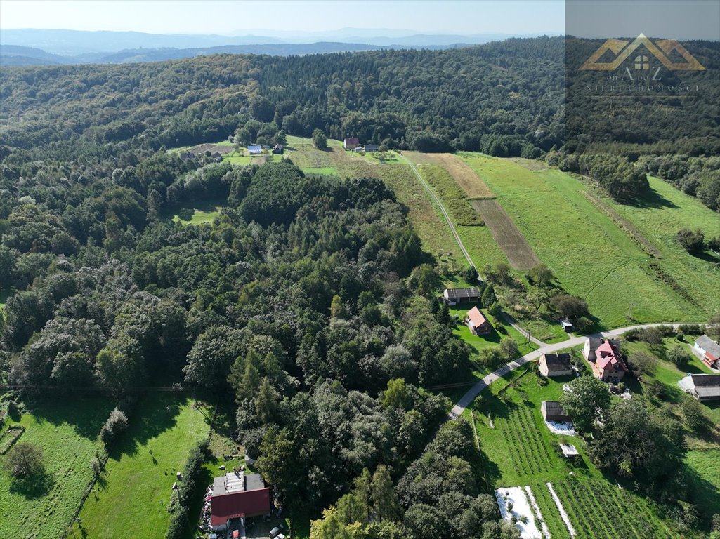 Działka leśna na sprzedaż Milówka  13 400m2 Foto 5