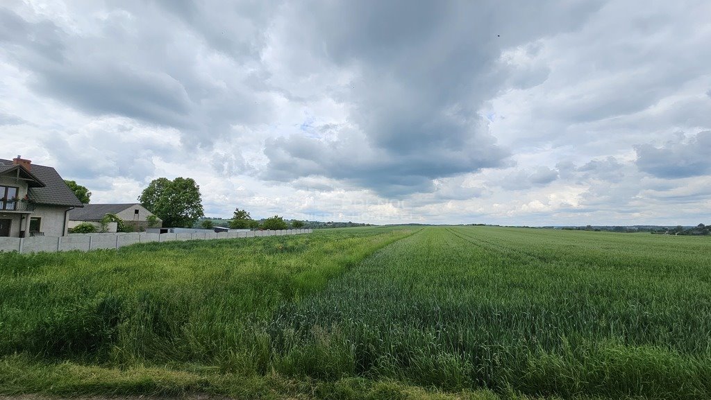 Działka budowlana na sprzedaż Wężerów  15 002m2 Foto 10