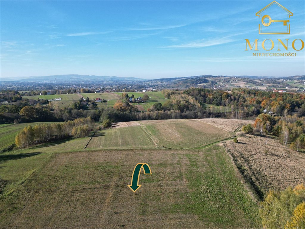 Działka rolna na sprzedaż Korczyna  15 400m2 Foto 12