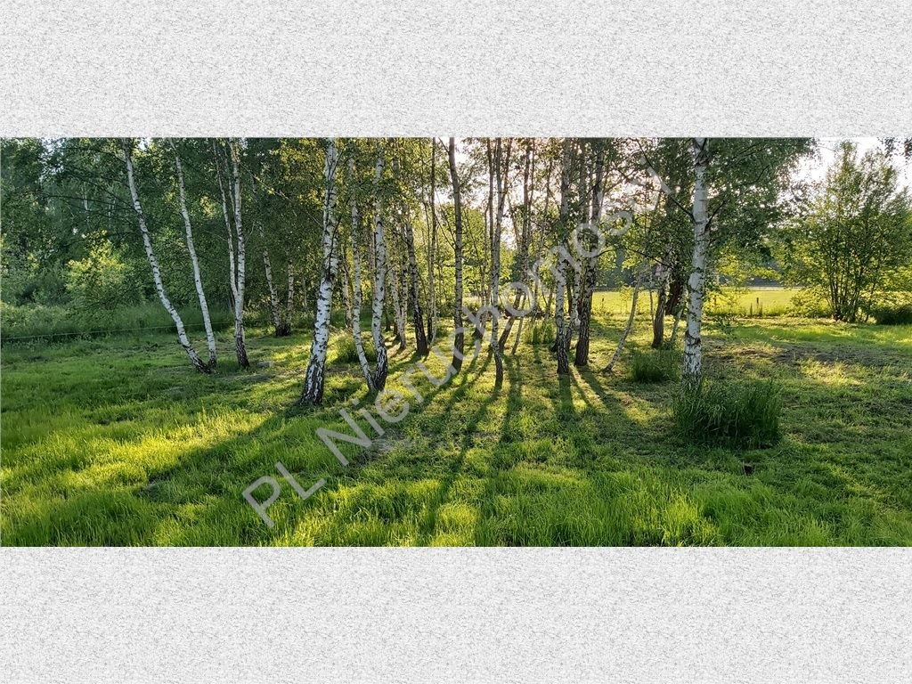 Działka 3 000 m² pod dom w otoczeniu lasów i terenów zielonych Radonie  3 000m2 Foto 1