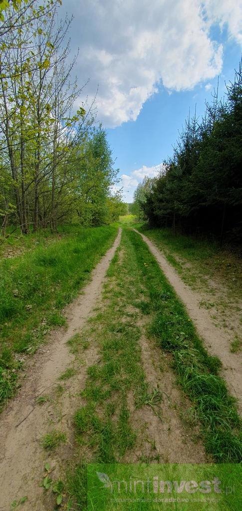 Sprzedam działkę Marszewo , 3012 m2, 301200 PLN Domiporta.pl