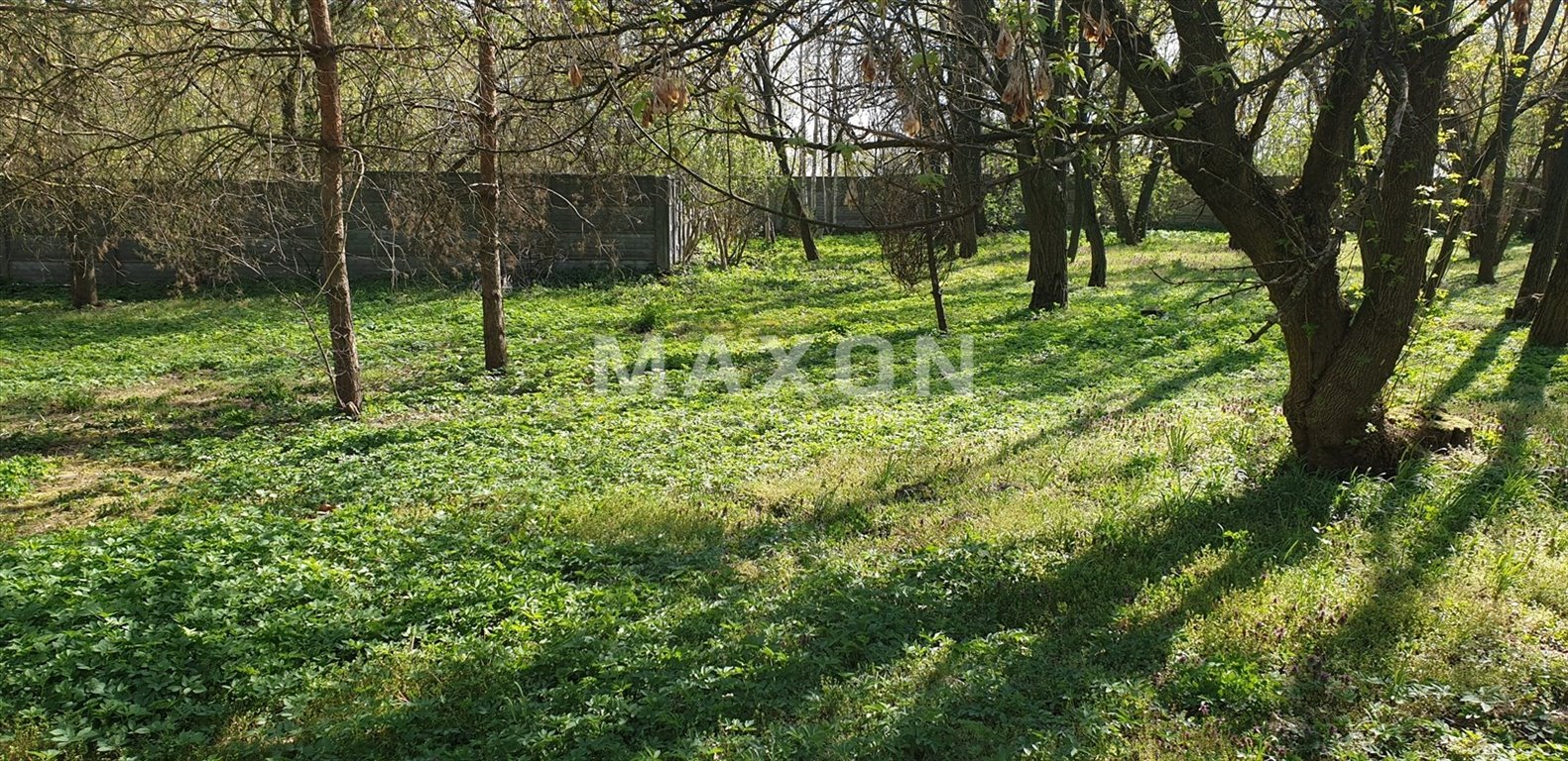 Działka budowlana na sprzedaż Borzęcin Duży  20 000m2 Foto 14