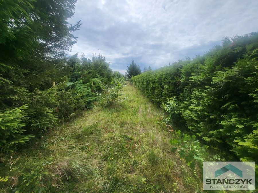 Działka budowlana na sprzedaż Zastań  2 044m2 Foto 2