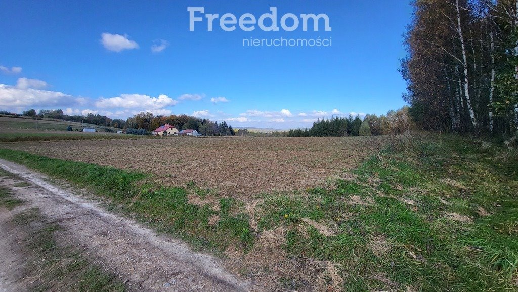 Działka budowlana na sprzedaż Połomia  5 700m2 Foto 8