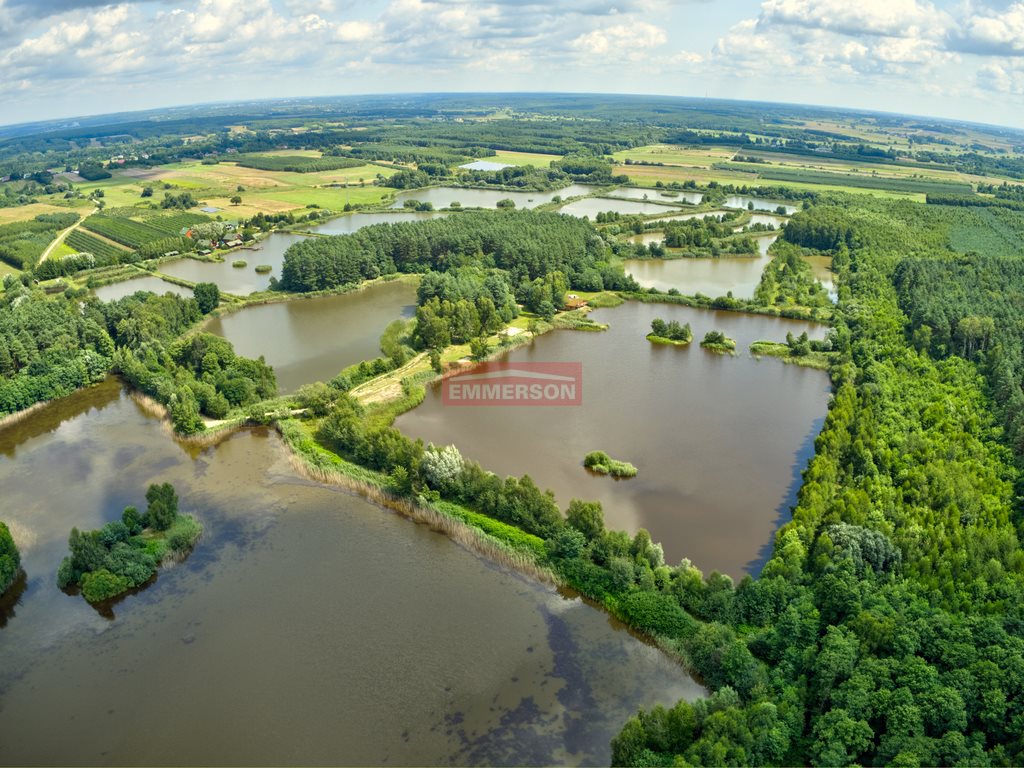 Działka budowlana na sprzedaż Bosowice  28 200m2 Foto 5