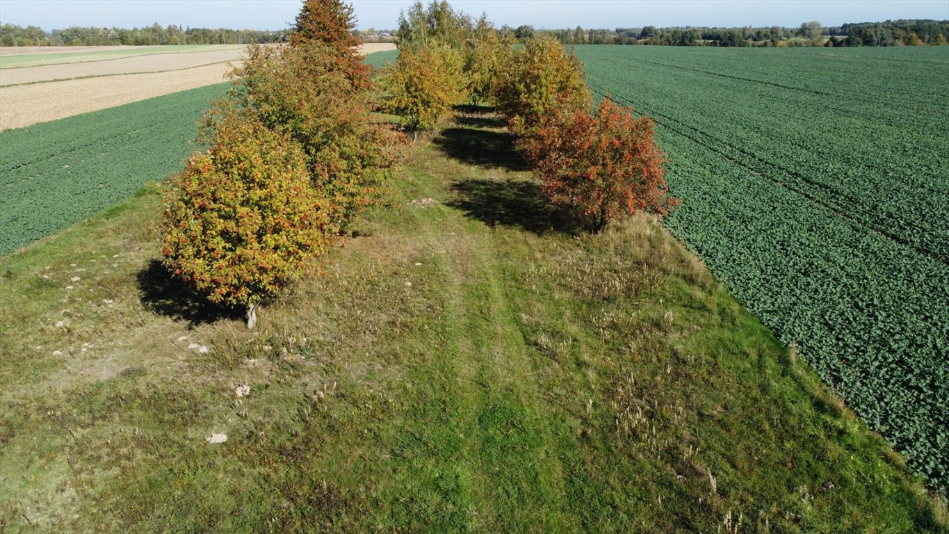 Działka rolna na sprzedaż Szczytno  20 000m2 Foto 9