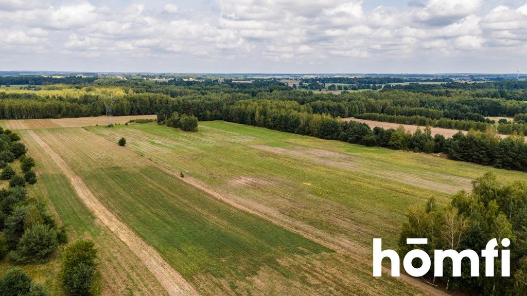 Działka rolna na sprzedaż Zdziechów  45 600m2 Foto 11