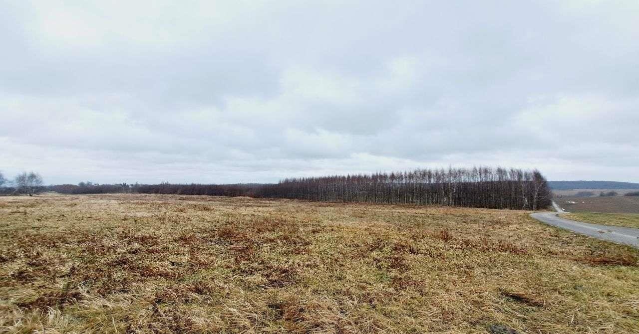 Działka siedliskowa na sprzedaż Wola Kalinowska, ul. Kaliski  1 200m2 Foto 2