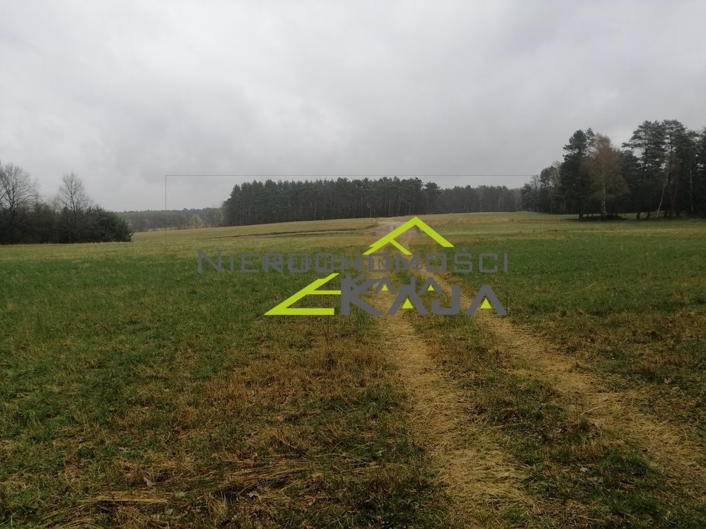 Działka budowlana na sprzedaż Grabowiec  3 008m2 Foto 5