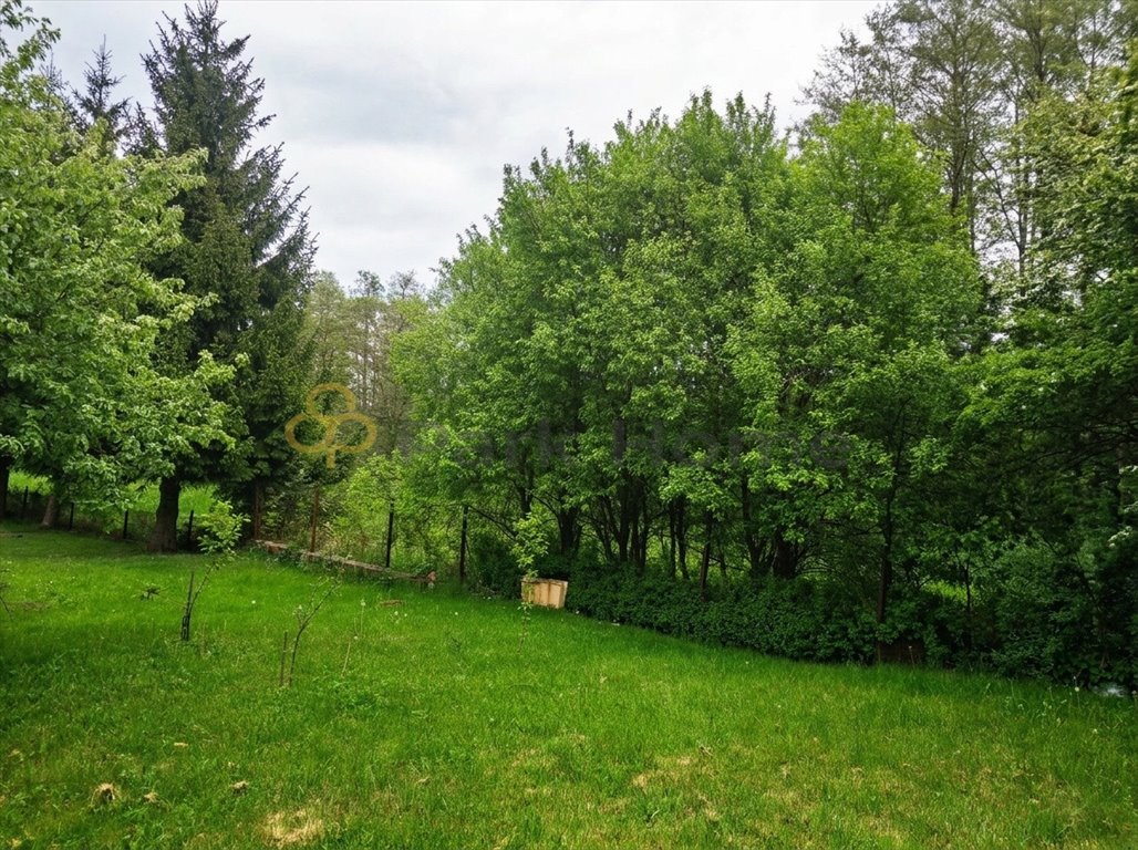 Działka rekreacyjna 11 476 m² w Gozdnicy – prywatność i natura Gozdnica  11 476m2 Foto 1