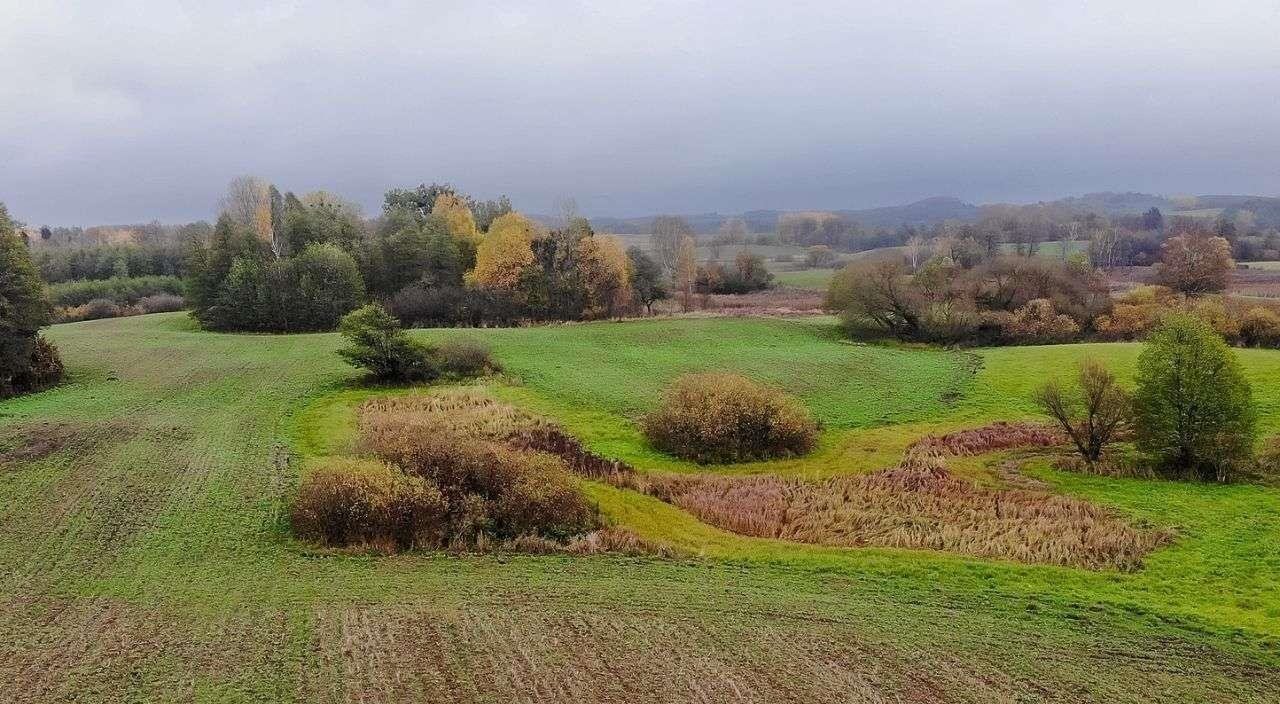 Działka rolna na sprzedaż Świętajno  3 010m2 Foto 9