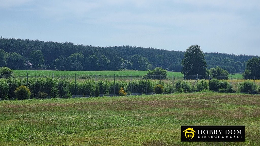 Działka budowlana na sprzedaż Grzybowce  1 891m2 Foto 5