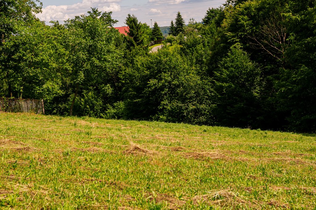 Działka budowlana na sprzedaż Zawada Lanckorońska  4 000m2 Foto 1