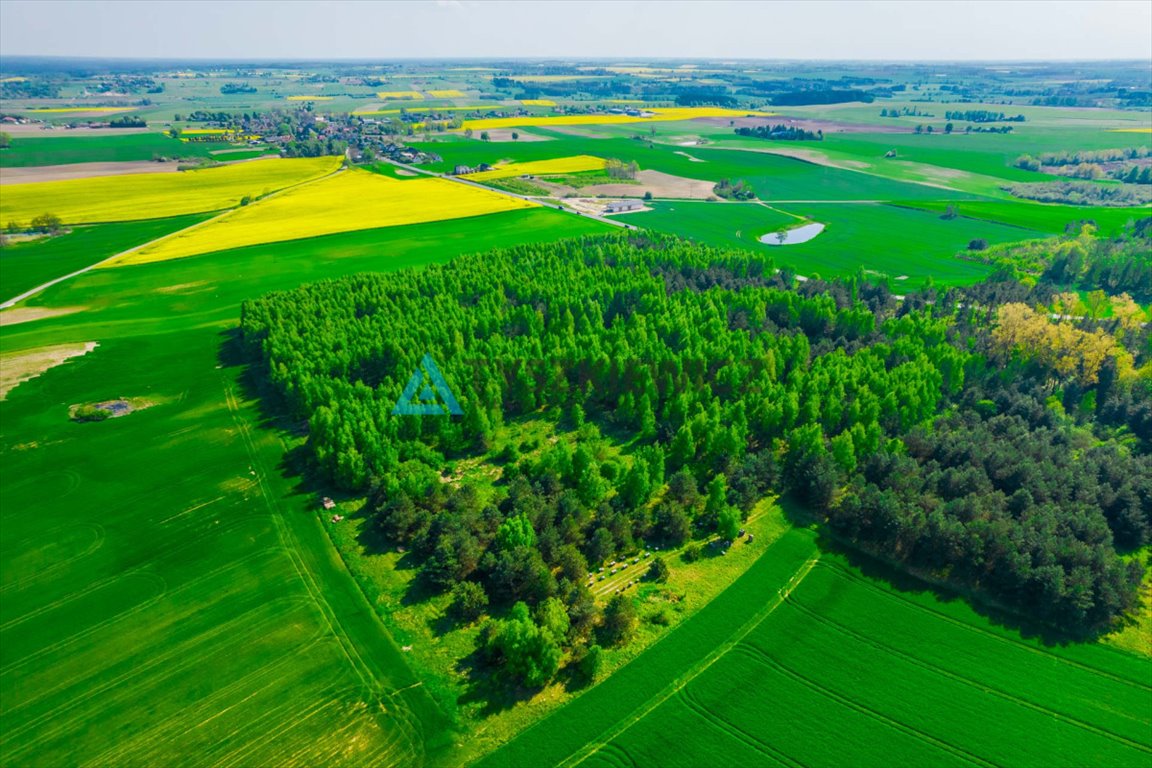 Działka rolna na sprzedaż Bladowo  78 200m2 Foto 5