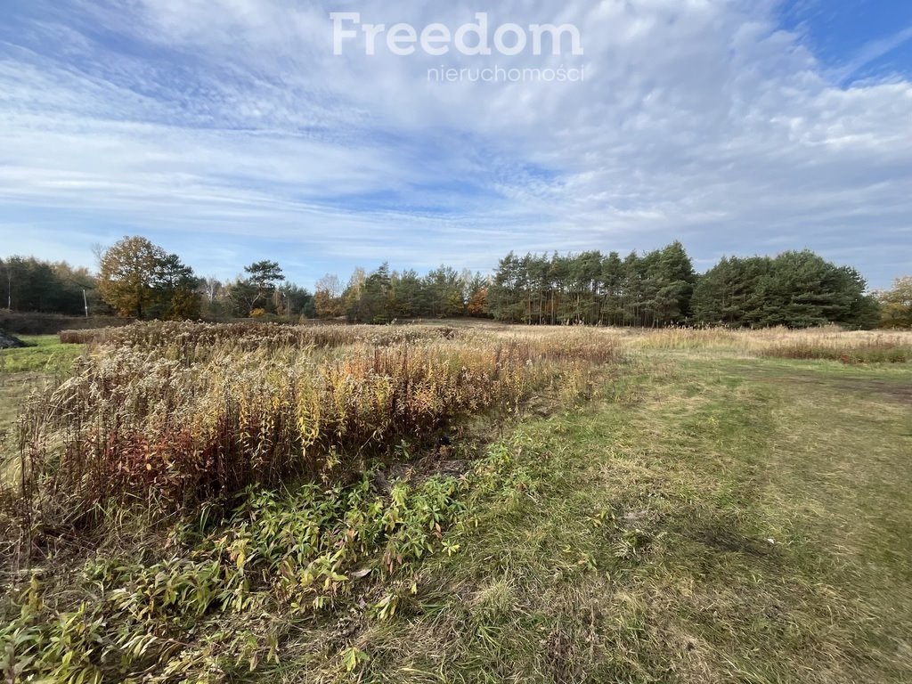 Działka budowlana na sprzedaż Cegielnik  1 683m2 Foto 4