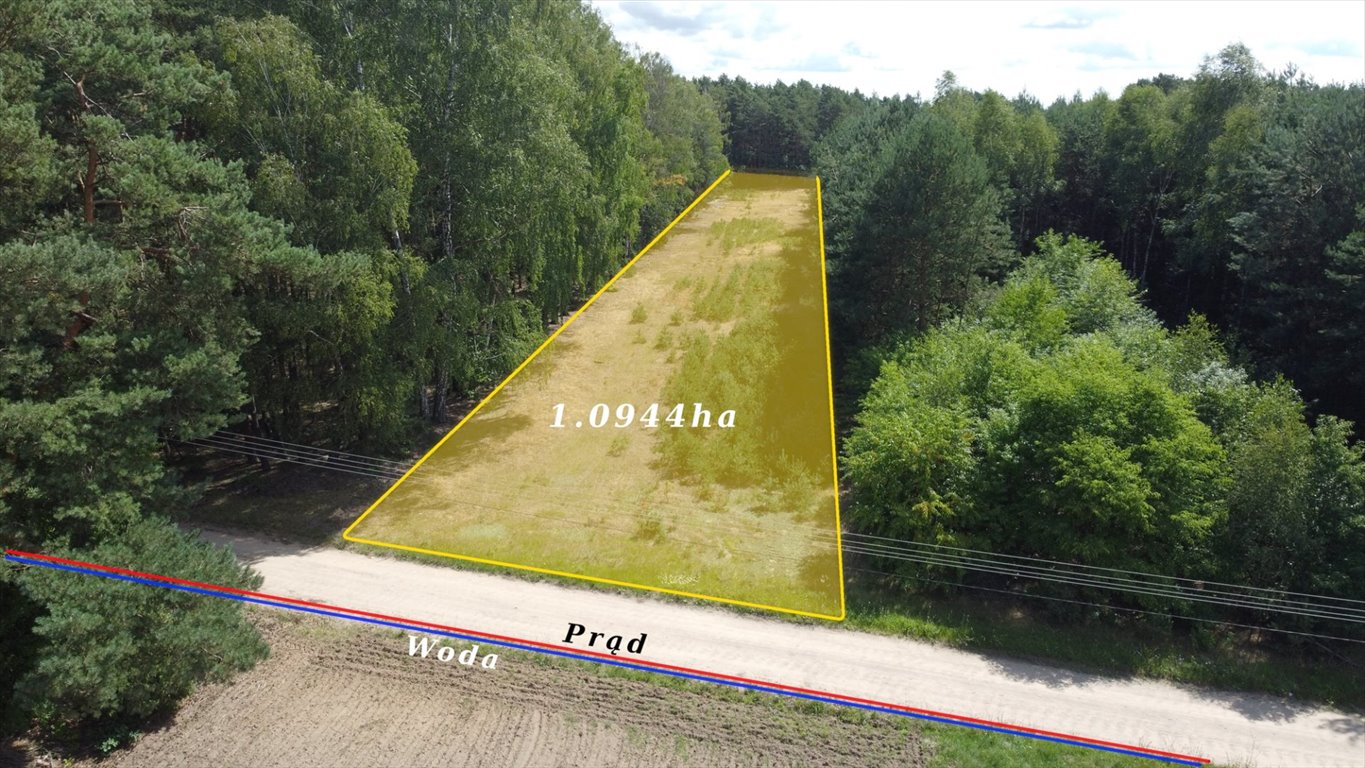 Działka 10 944 m² w leśnej okolicy z mediami polecam Tomaszewo  10 944m2 Foto 1