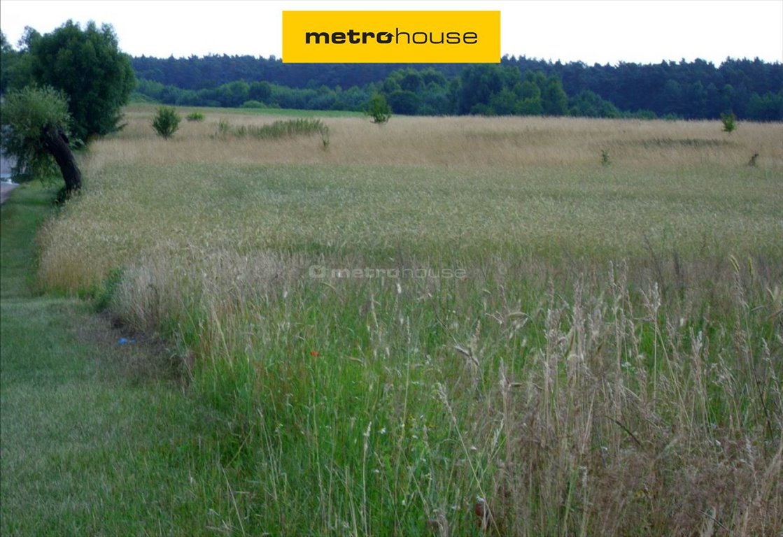 Działka rolna 2,4 ha z jeziorem i stawem, MPZP Polska Wieś  21 392m2 Foto 1