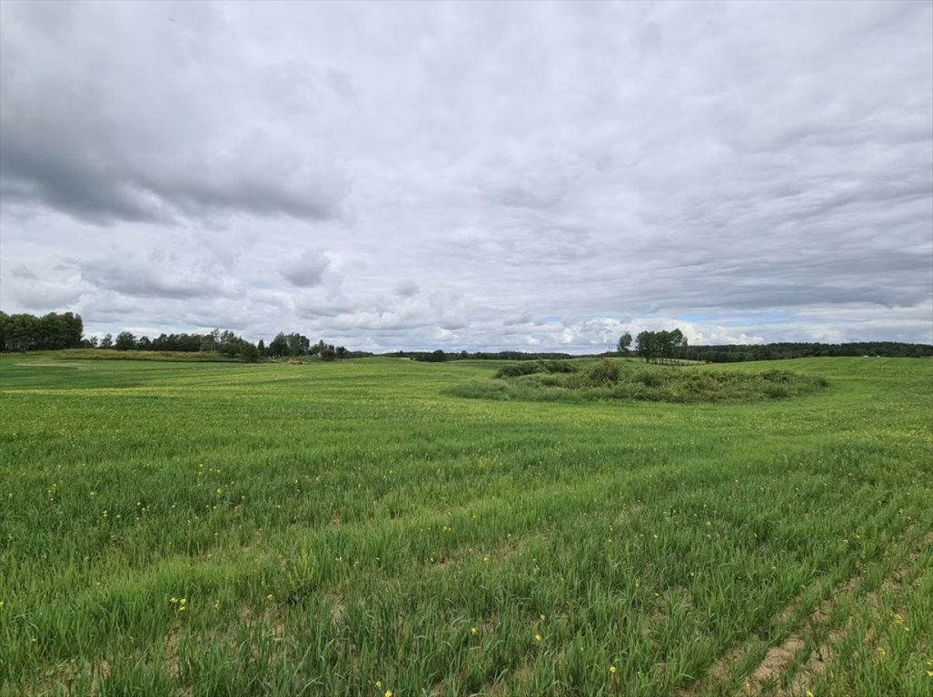 Malownicza działka 3 100 m² w Orzechowie, inwestycja Orzechowo  3 100m2 Foto 1