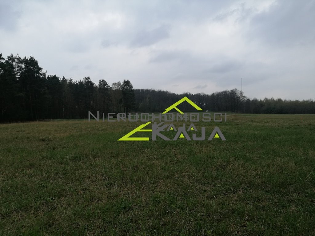 Działka budowlana na sprzedaż Grabowiec  3 008m2 Foto 17