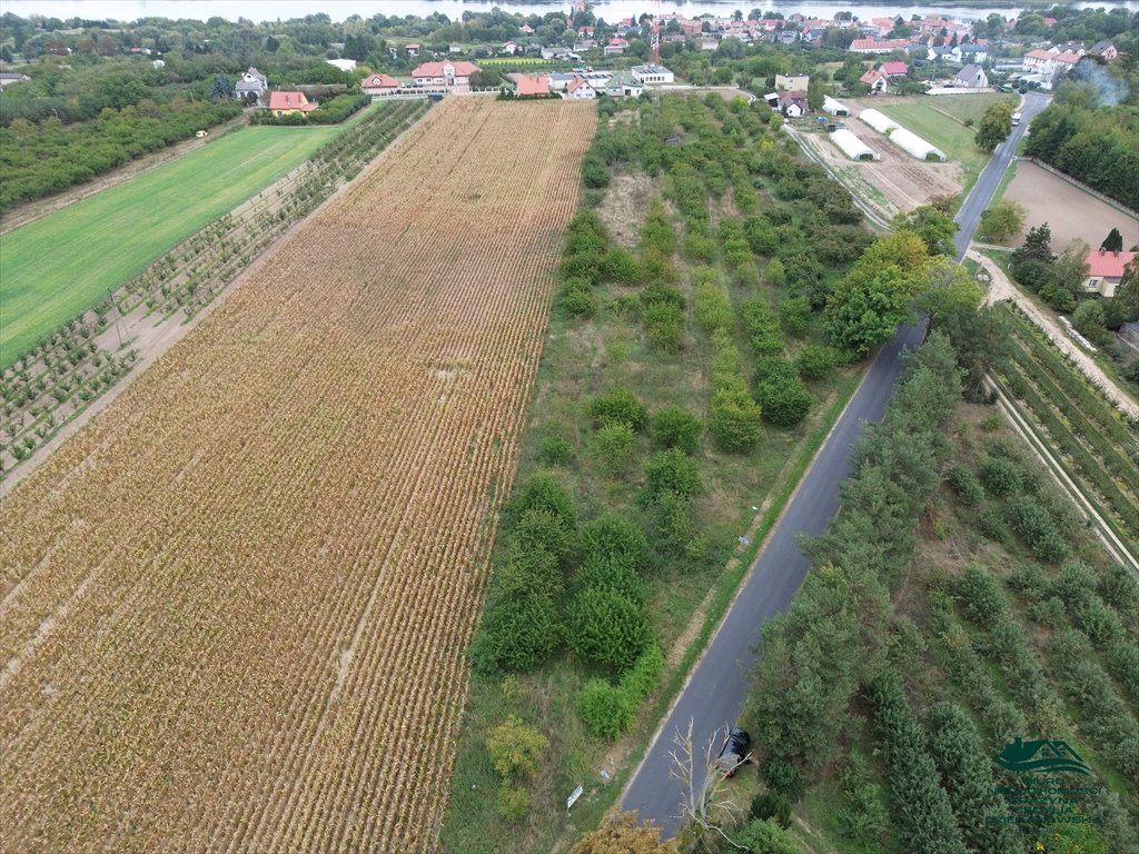 Działka rolna na sprzedaż Nieszawa  6 616m2 Foto 13