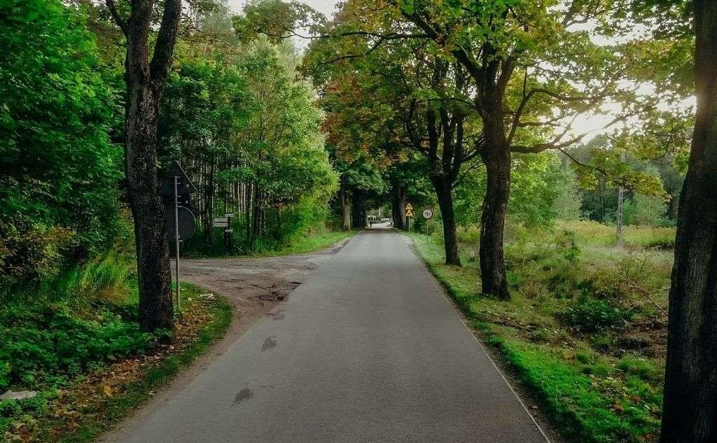 Działka inna na sprzedaż Miłomłyn  4 065m2 Foto 15