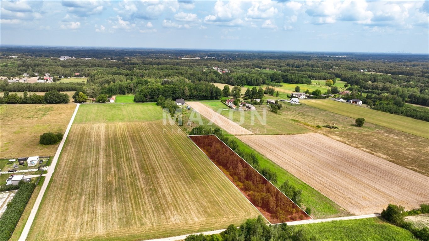 Działka budowlana na sprzedaż Ciepłe A  15 600m2 Foto 4