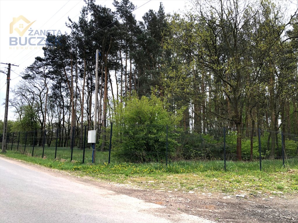 Działka leśna na sprzedaż Altanka  3 059m2 Foto 6