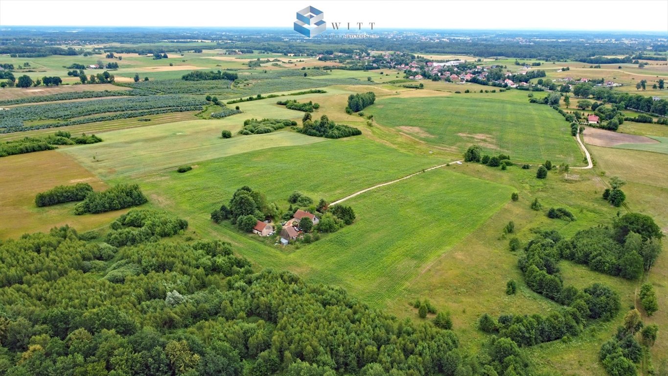 Działka budowlana na sprzedaż Morąg  1 500m2 Foto 5