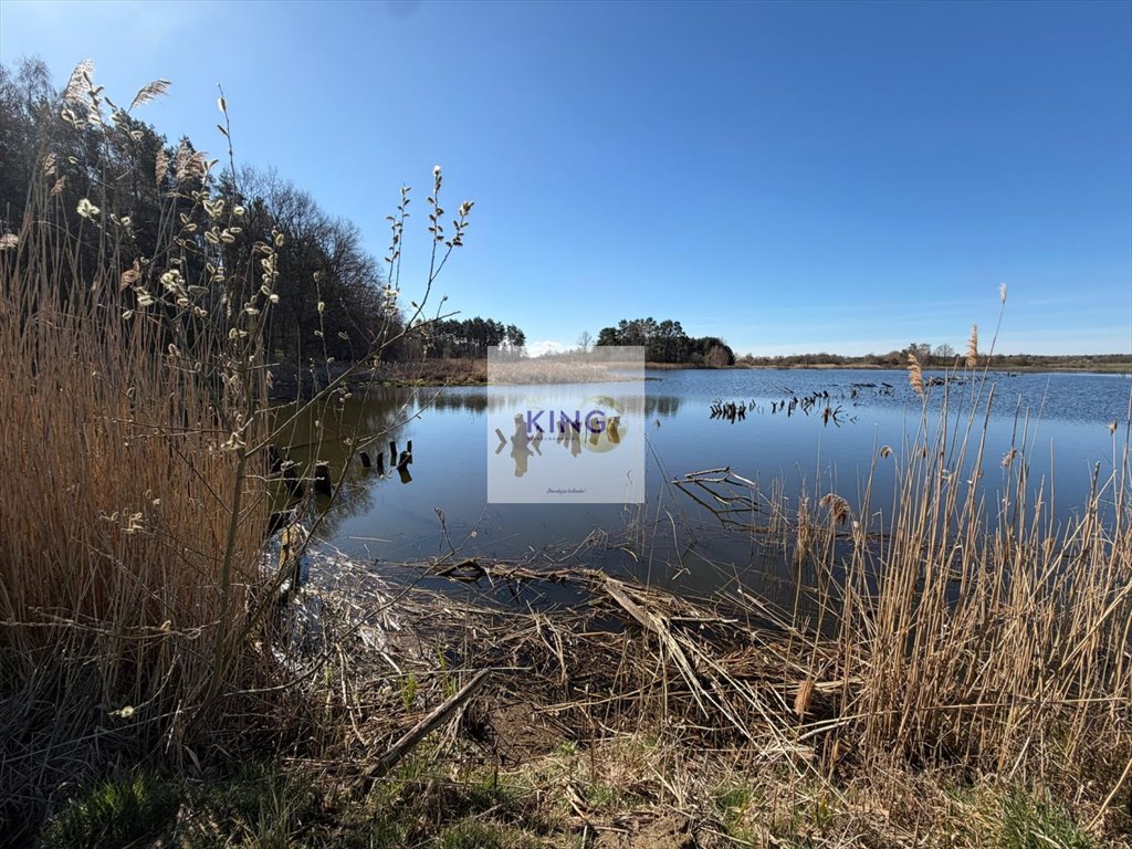 Na sprzedaż działka 4052 m² z warunkami zabudowy w Binowie Binowo  4 052m2 Foto 1