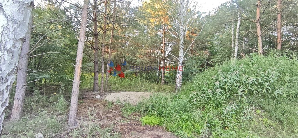 Sprzedam działkę 1200 m² w Łoś z lasem i mediami Łoś  1 200m2 Foto 1