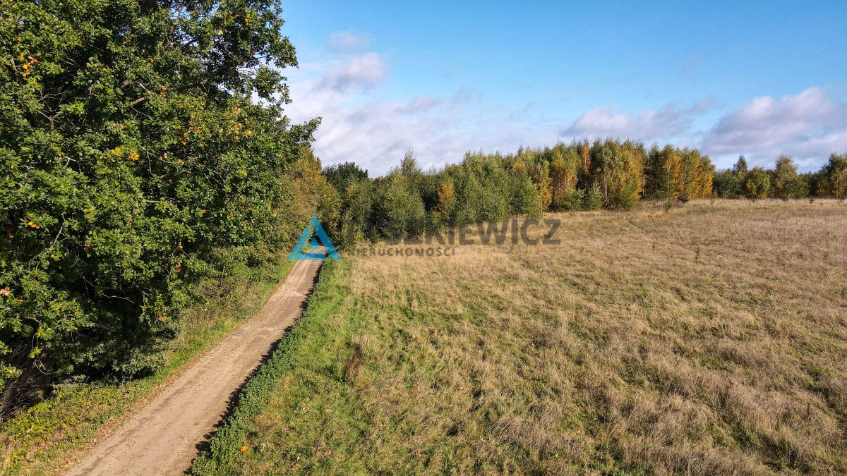 Działka budowlana na sprzedaż Lisewiec, Nad Stawami  3 474m2 Foto 8