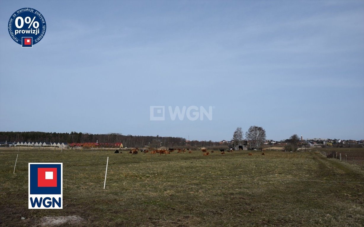 Działka budowlana na sprzedaż Jarosławiec, Za Lasem  3 000m2 Foto 10