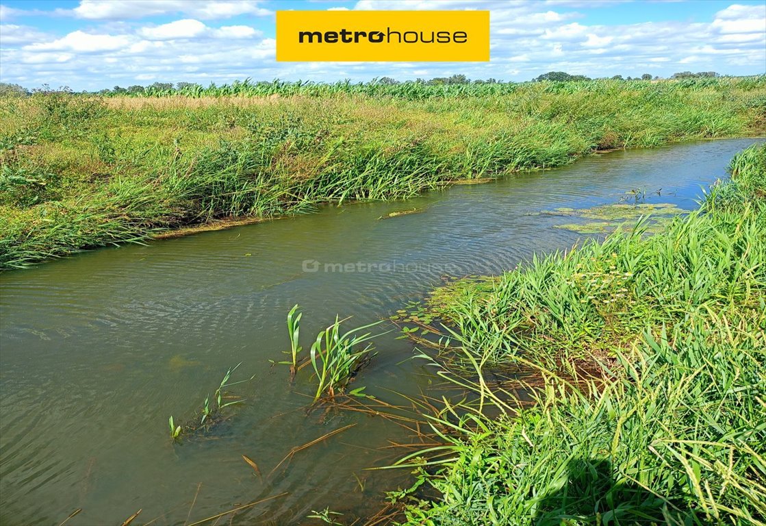 Działka 2700 m² z dostępem do rzeki w Ostrów, Łowicz Ostrów  2 700m2 Foto 1
