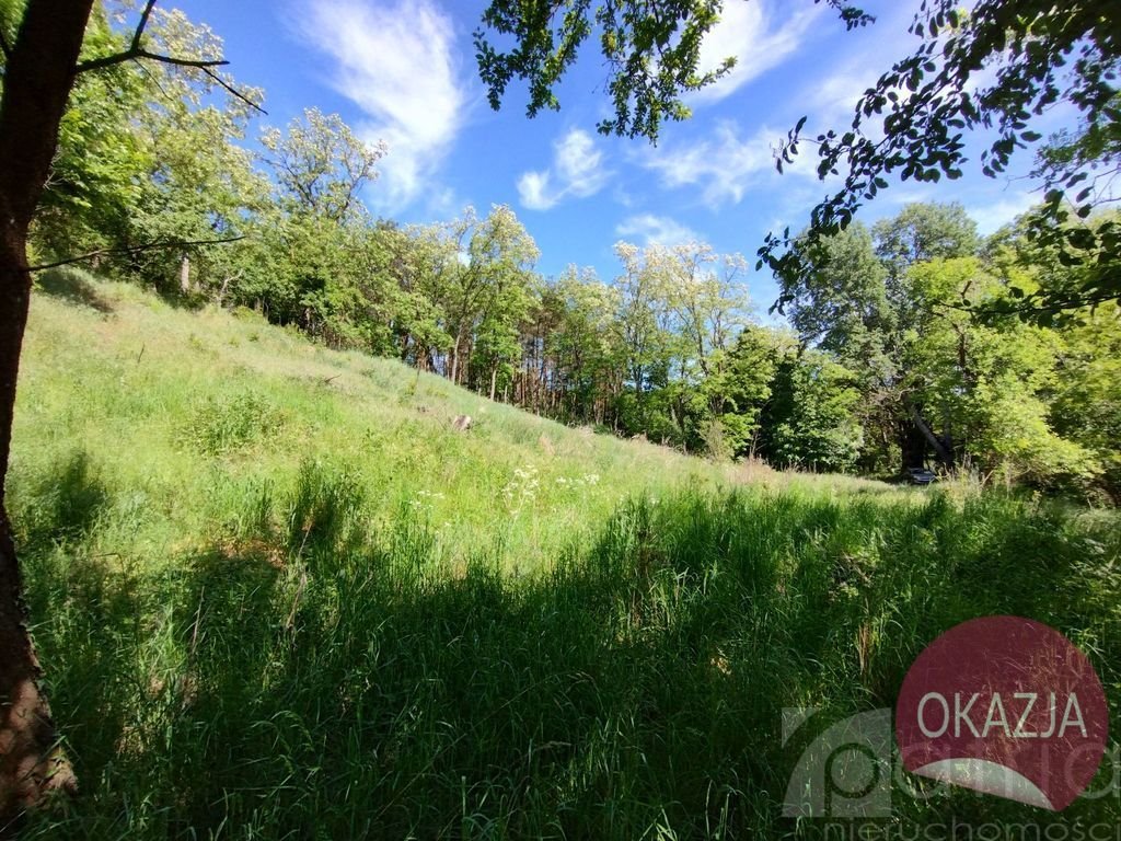 Działka inna na sprzedaż Stary Błeszyn  1 500m2 Foto 8