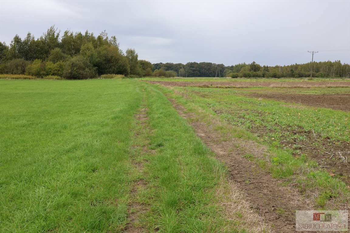 Działka budowlana na sprzedaż Nowa Jamka  1 551m2 Foto 4