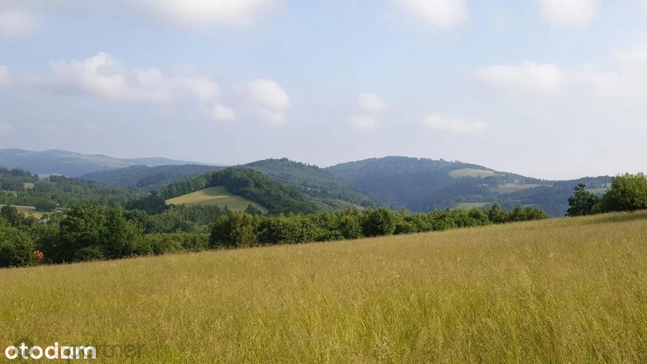 Działka rolna na sprzedaż Walim, Adama Mickiewicza  3 566m2 Foto 12