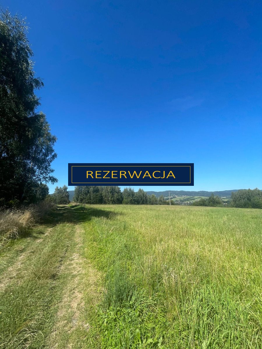 Działka budowlana na sprzedaż Rychwałd, Holnówka  1 064m2 Foto 10