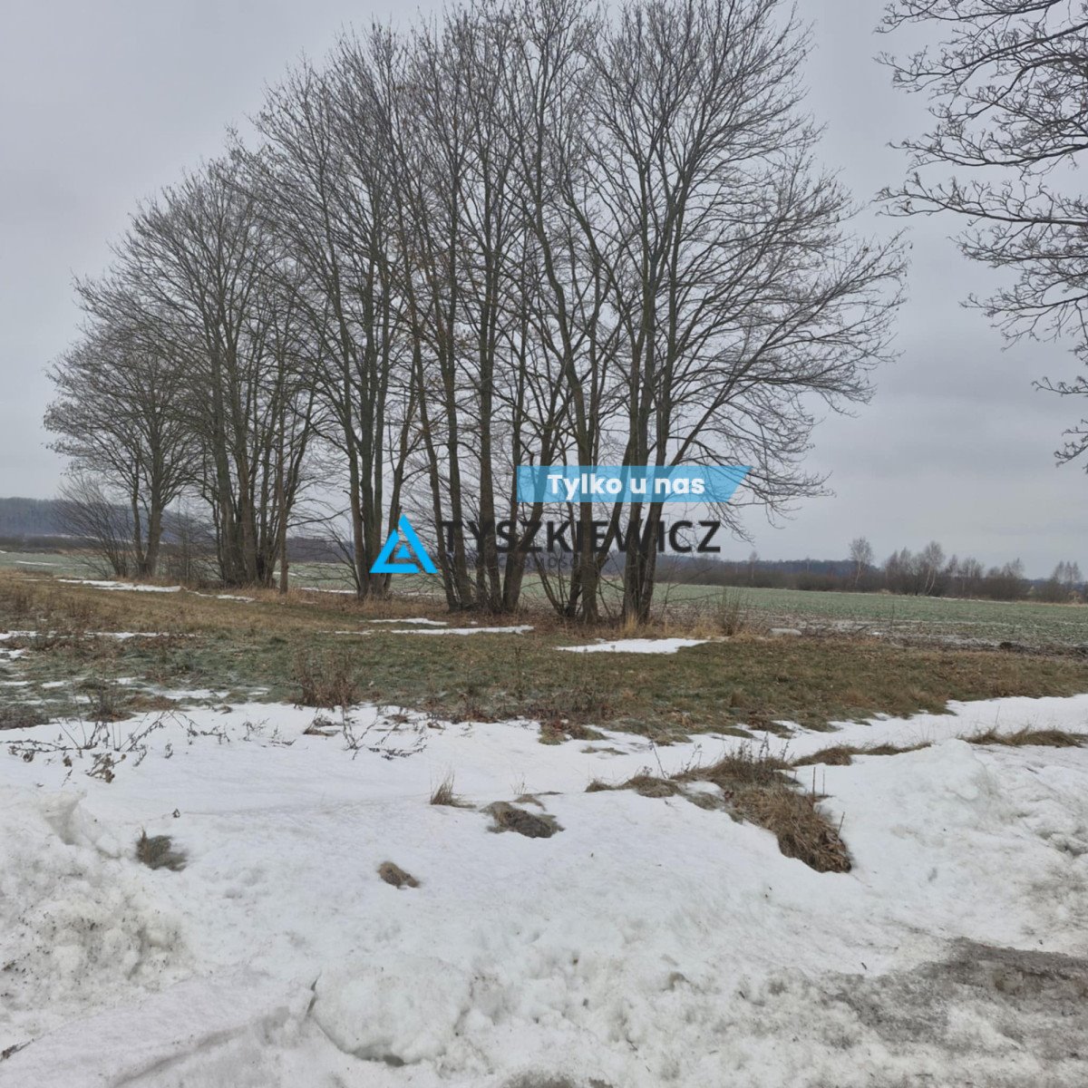 Duża działka 2 ha pod zabudowę turystyczną w Jeziorzanach Jezierzany, Nadmorska  20 000m2 Foto 1