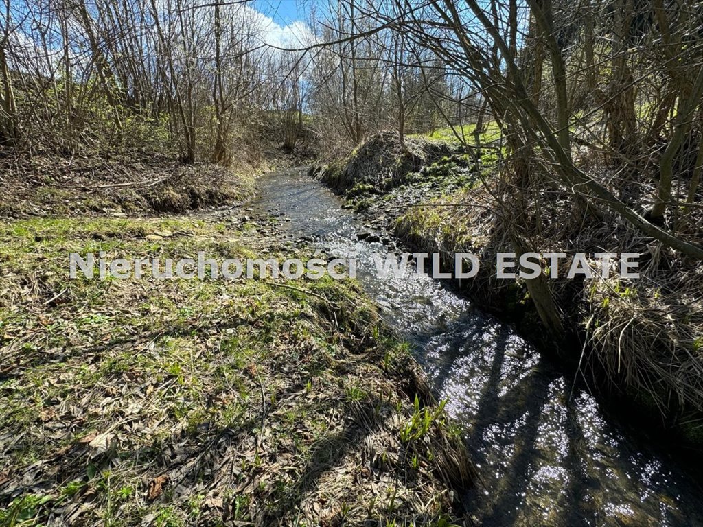 Do sprzedania malownicza działka 1,03 ha z potokiem i możliwością zabudowy Bukowsko, Tokarnia  10 031m2 Foto 1