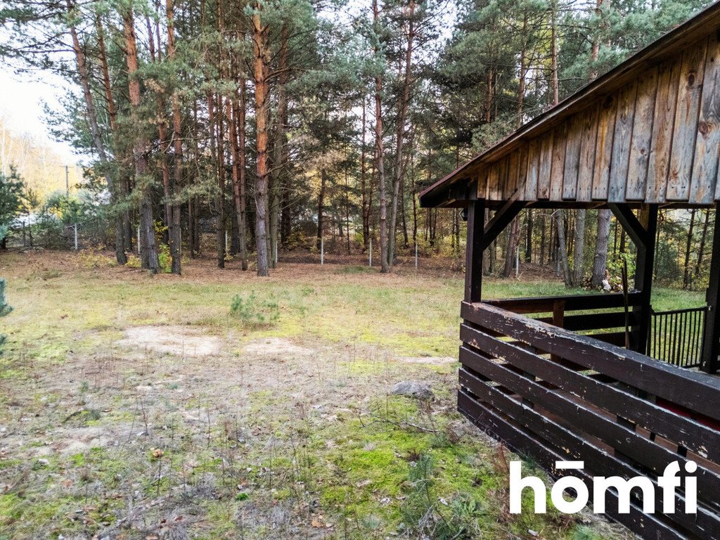 Działka leśna na sprzedaż Ligęzów  3 700m2 Foto 4