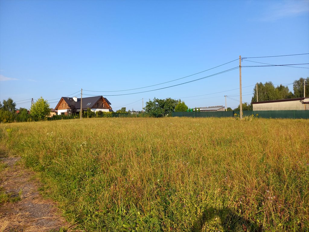 Działka budowlana na sprzedaż Świńczów  1 000m2 Foto 8