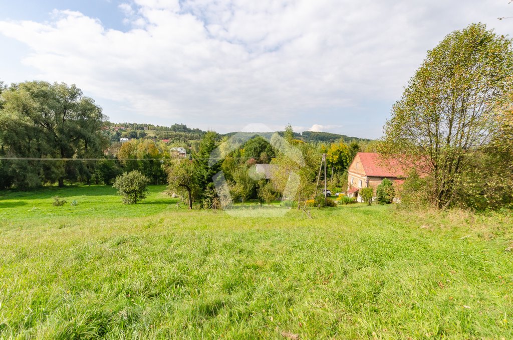 Dom z dużą działką 1,26 ha, adaptacja, spokojna okolica Kielnarowa  120m2 Foto 1