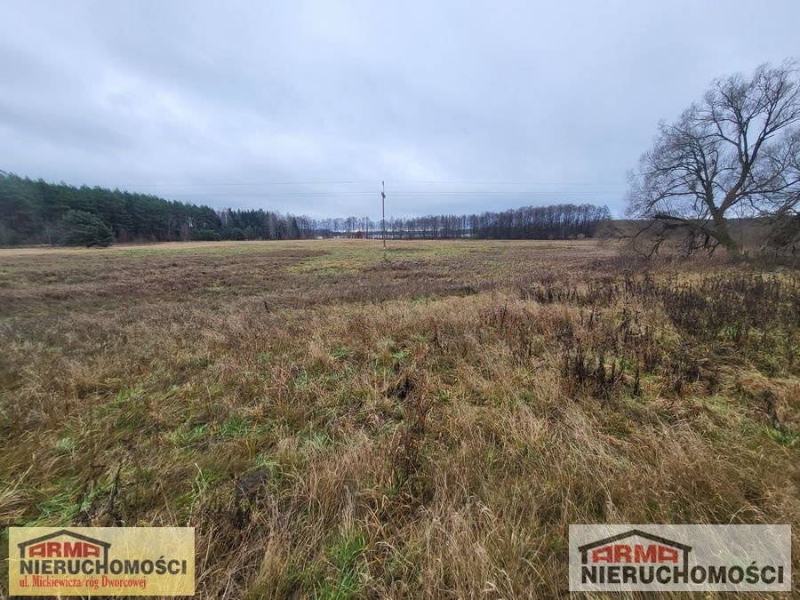 Działka rolna na sprzedaż Szadzko  11 600m2 Foto 4