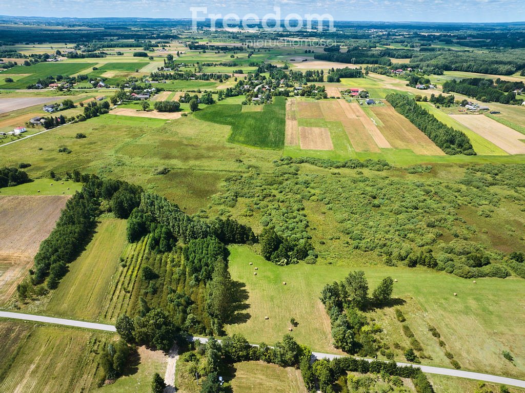 Działka budowlana na sprzedaż Żalin  8 434m2 Foto 8