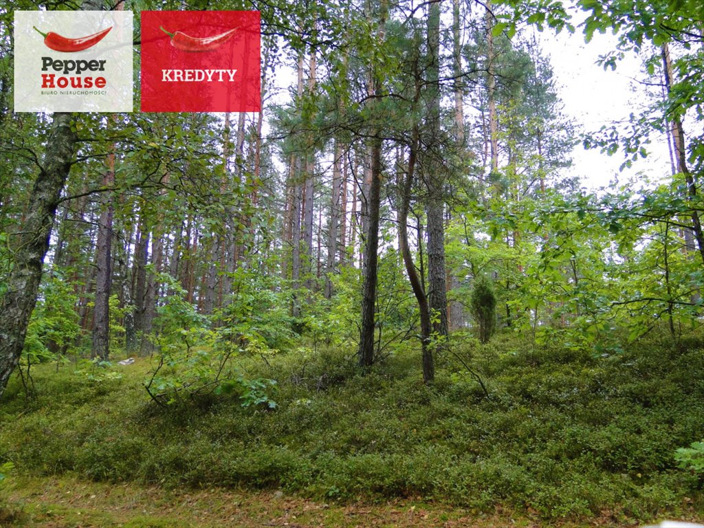 Działka 3000 m² z dostępem do jezior i lasu - MPZP Skorzewo  3 000m2 Foto 1