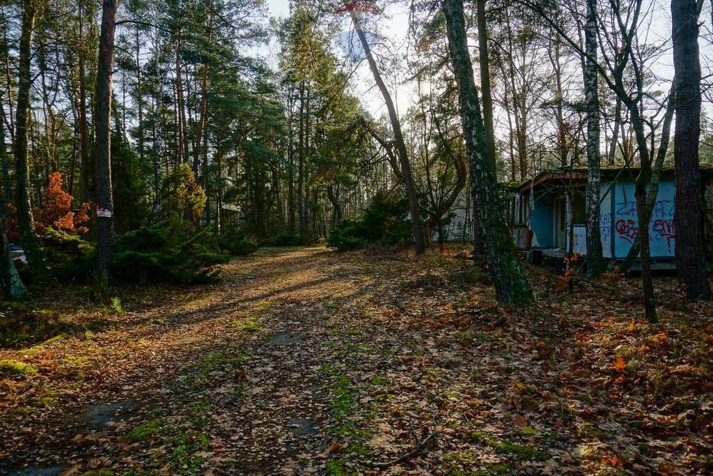 Działka inwestycyjna na sprzedaż Osiedle Wilga  42 245m2 Foto 10